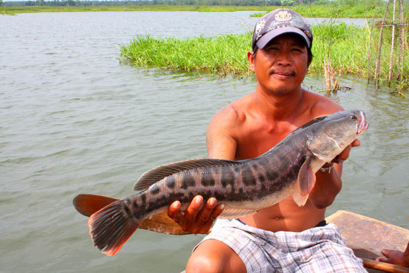 กัดป้อบซะเต็มปากเลย...........

 :smile: :smile:
