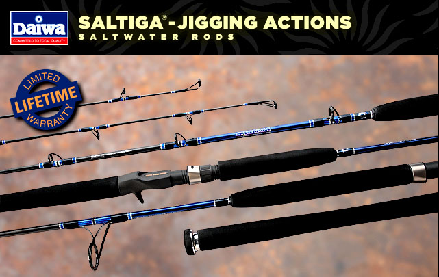 daiwa saltiga 

-jigging rod