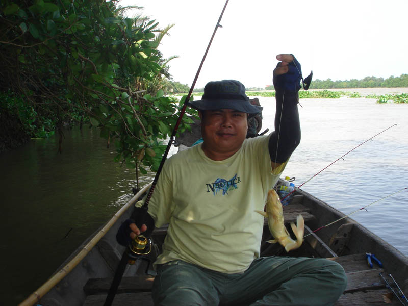 กดครับ....ตัวสีออกทองๆยาวๆแบบนี้คนเรือเรียกกดF-16   :laughing: :laughing: :laughing:

สวัสดีครับ M