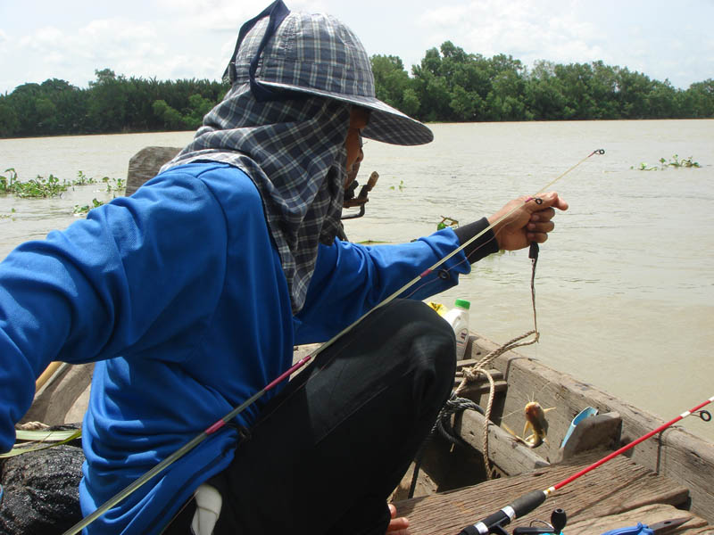 พี่สังข์ คนขับเรือดึงปลากดหมูกับปลาหางกิ่วขึ้นมาหลายตัวครับ  :cheer: