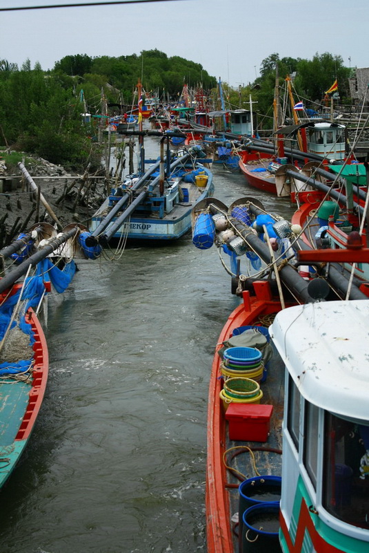 วันนี้เรือไม่ออกหากินหรืออย่างไรกันนี่  :ohh: :ohh: :ohh: :ohh: