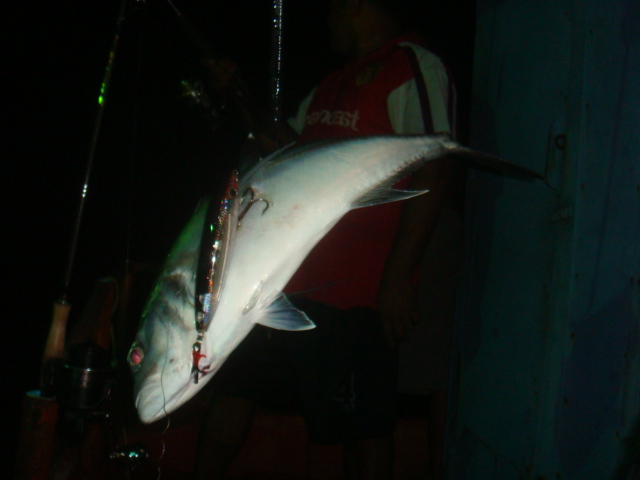 ไต๋หลี ตีป๊อบ  rapala  X-Rap   ก็โดน......ตัวสวย ไ