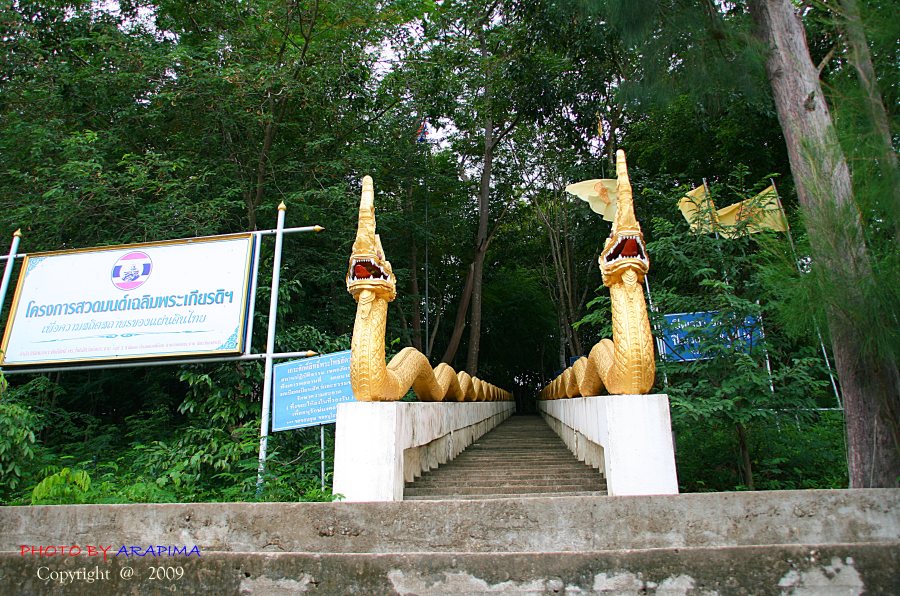  :grin: :grin:  ระหว่างรอเรือเล็ก......ไอ้เราก้อเดินถ่ายรูปเล่นฆ่าเวลาดีกว่า   :laughing: :laughing: