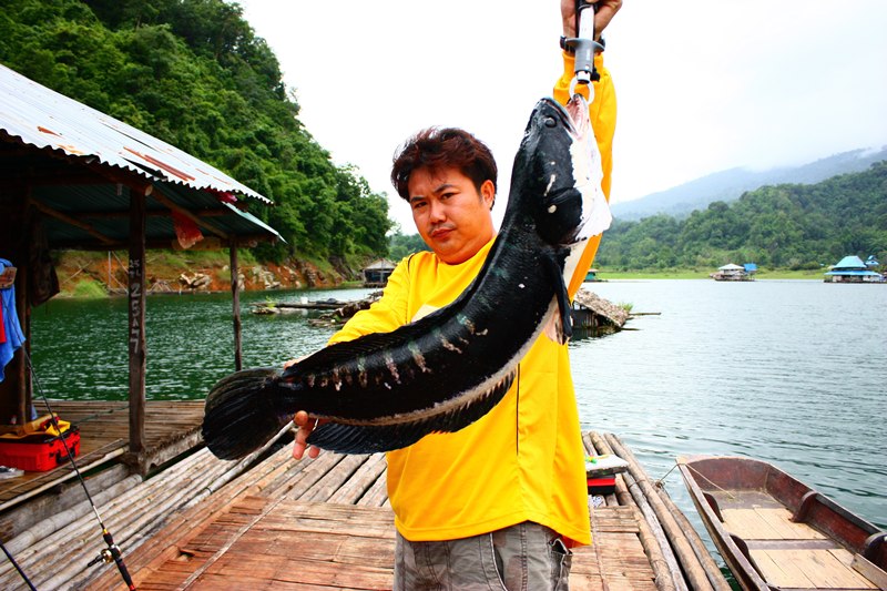 เต็มจายยย...
มรึงดูหน้าตรู หน่อยนะ..อีถ้ำเวลาถ่ายรูปอ่ะ :angry:
 :laughing: