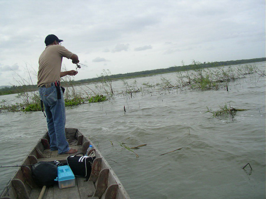 วกเข้า ป่ามาได้หน่อย ใช้ ปร๊อดดดดดๆๆๆๆๆๆๆ  บัดเบท หนอนแดง ไม้แรกกัดไม่ติด  :frown: :frown:

ซ้ำไปอ