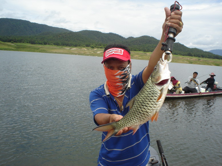 ตัวสวยๆครับ เดี๋ยวผมจะให้เรือลำที่เห็นด้านหลัง มาบอกเล่าเหตุการ์ณทางด้านเรืออีกลำนะครับ   :cheer:
*
