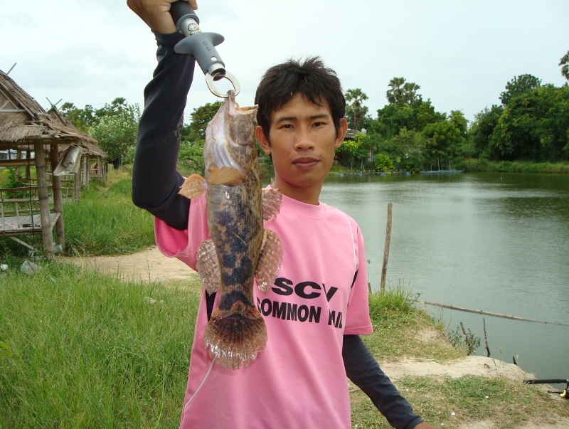 ติดใจปลาบู่นึ่งซีอิ๋วเลยได้มาครับโชคเข้าข้างจริงๆ :blush: