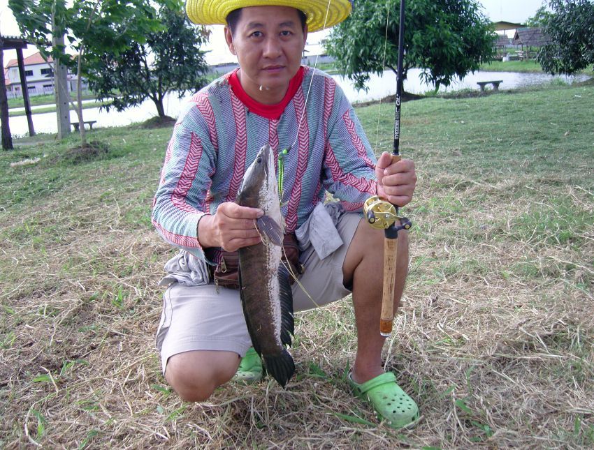 รับประทานหนอนเต็มปากเลยครับ 