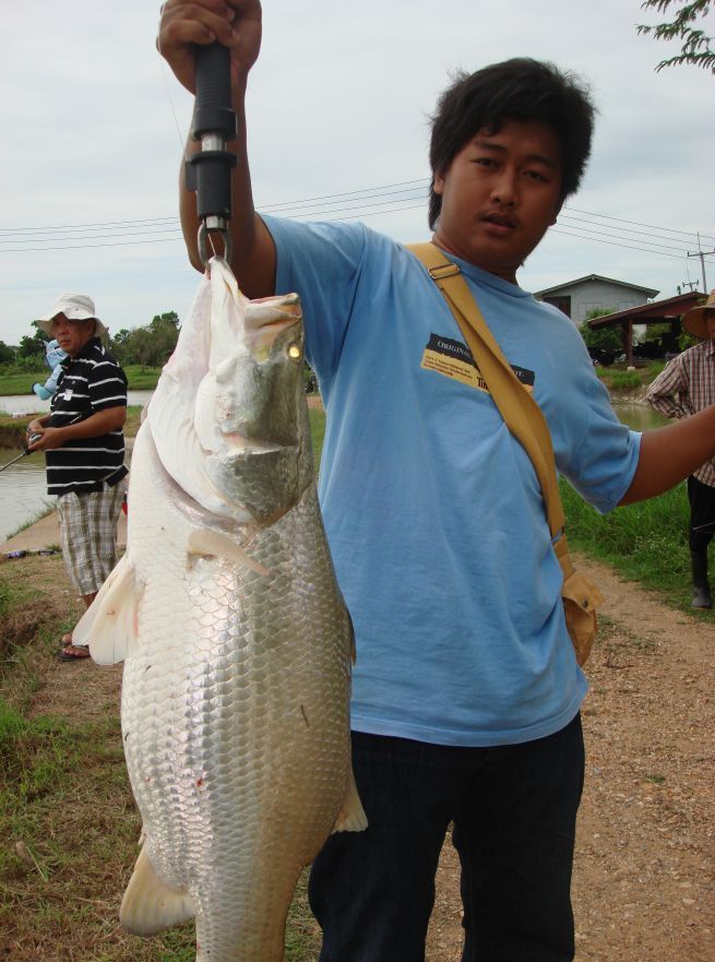 นายนิวช่วยยกปลาให้ยืมถือก่อนแล้วกัน :laughing: :grin: :grin: :smile: