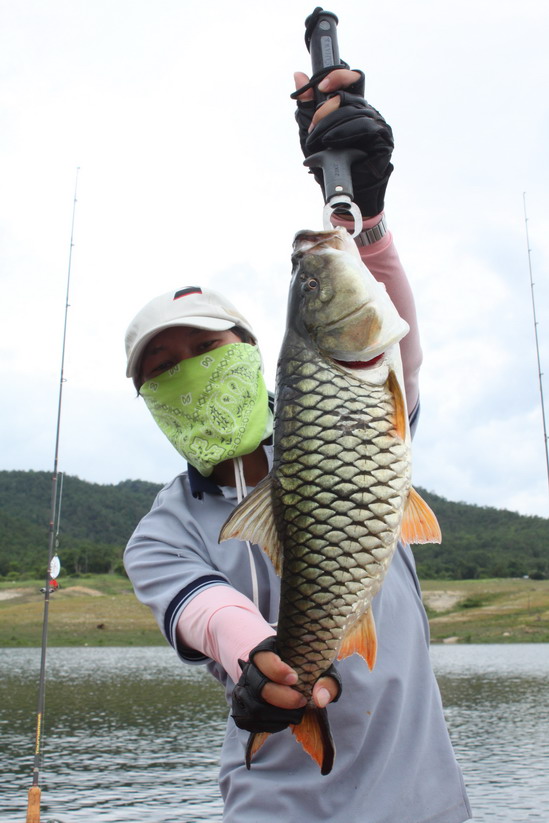 ...  ตามลิงนี้ ต่อเลยนะ ครับ
http://www.siamfishing.com/board/view.php?tid=69482&begin=0