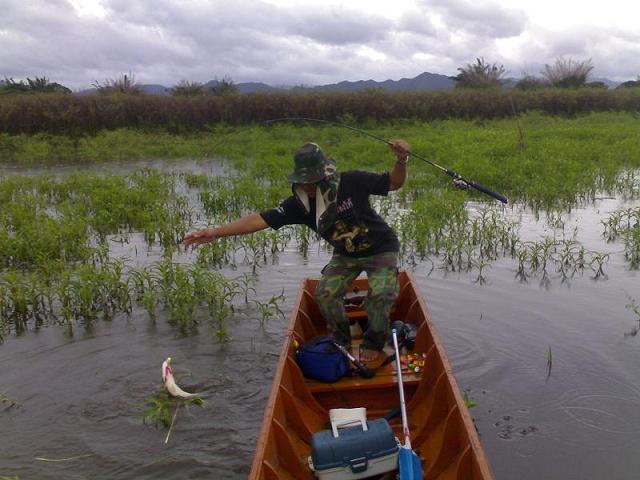 ชะโดคะนองนา........ :grin: :laughing: