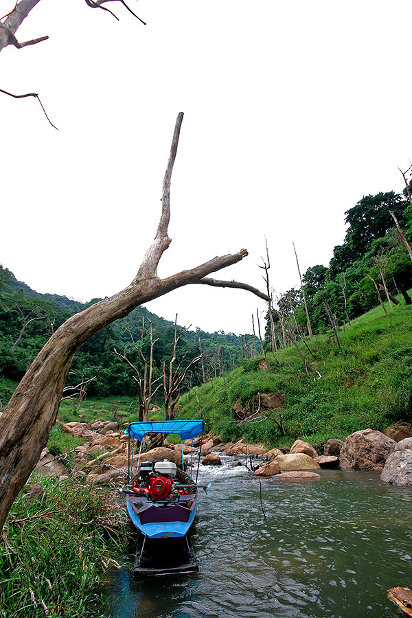 
วันที่ไป เป็นวันอาทิตย์ 

เลยมีนักท่องเที่ยว นั่งเรือมาเที่ยวชมความงามของที่นี่ 

ตาน้ำ ที่มีล