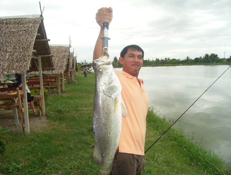 ให้น้านุสตรีทครับ :cheer: :cheer: