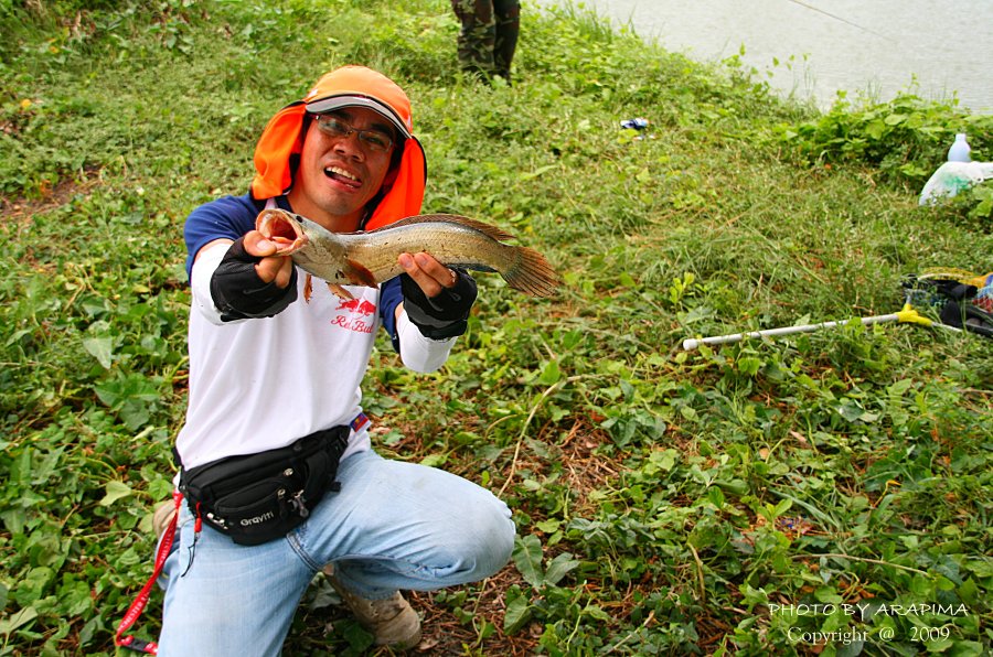  :grin: :grin:  มาแล้ว......มาแล้ว......น้าหยอยเรา......รอดตัวแล้วจร้า   :laughing: :laughing: