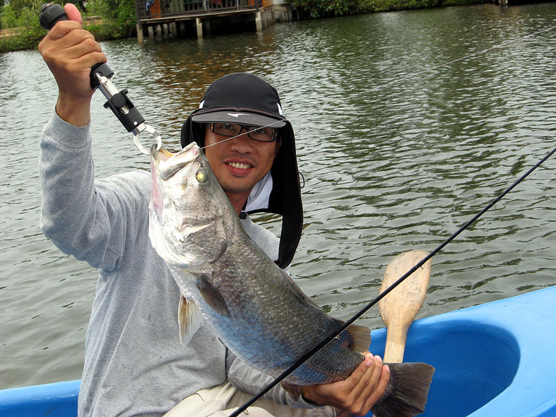 นั้งเรือ ตีเหยื่อเลย อิๆๆ  ฮ่า มัมส์ ดี ครับ  :laughing: :laughing: :laughing: :laughing: :laughing: