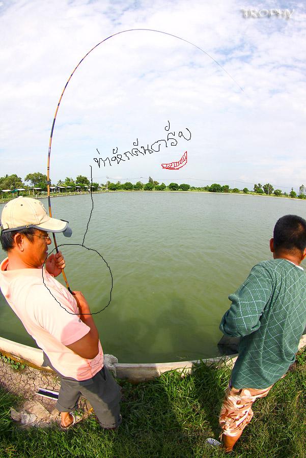 [q][i]อ้างถึง: trophy posted: 06-08-2552, 08:33:29[/i]

โดนท่าไม้ตายไปแป๊ปเดียว ปลาก็ยอมทันที โดยม