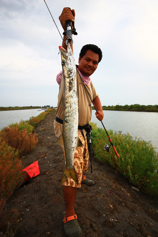 สวัสดีครับ น้าจิตร....น้าtrryyt 
 :smile: :smile:
------------------------------------------------