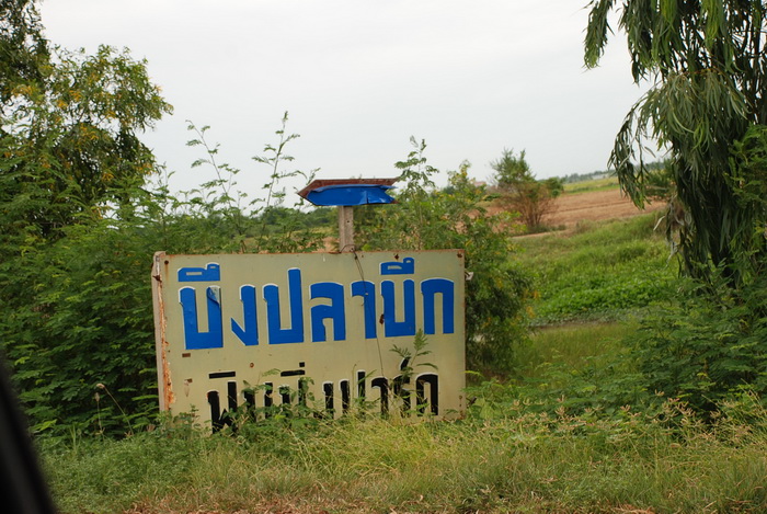 ขับรถมาเรื่อยๆจากตัวจังหวัดพระนครศรีอยุธยา ถึงแยกวรเชษฐ  ตรงอย่างเดียวมุ่งไปทางอำเภอเสนา ผ่านป้ายมะก