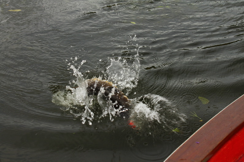 สวัสดีน้า calender
สวัสดีน้า spay2009
สวัสดีน้า domekung
สวัสดีน้า AR-Fishing
สวัสดีน้า Rapter99