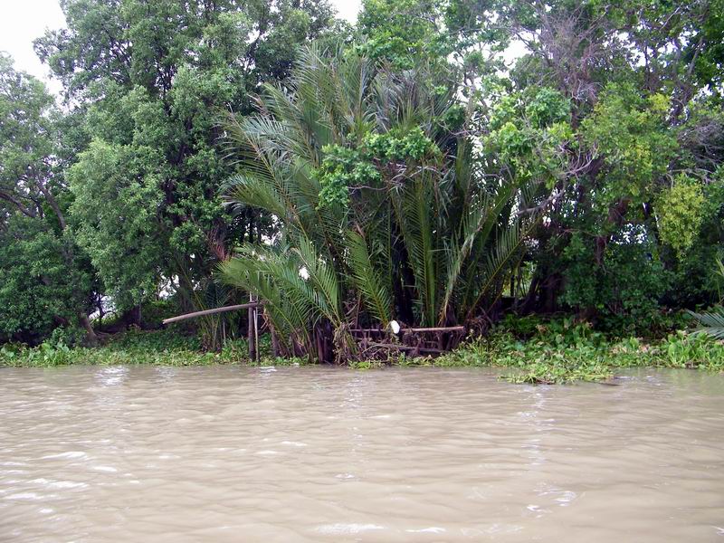 ดูน้ำตอนมันขึ้นเกือบถึงสะพานที่น้าเค้ายืนแน่...เดี๋ยวตอนท้ายกะทู้มาดูตอนน้ำลงนะคะ...ว่าขนาดไหน... :c