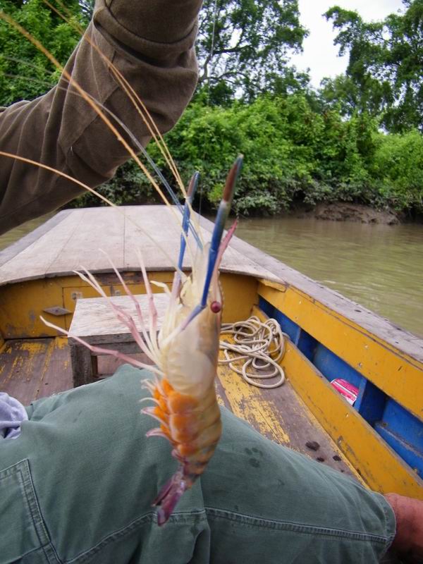 เก่ง : อยากรู้ปล่าวเค้าทำกันยังงัย...