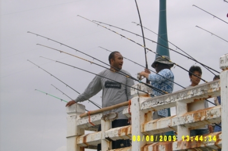 กรรมการ เกาะติดสถานการณ์ทันที  กัน นักตกปลามุง :laughing: