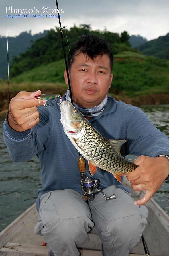 

ตีเฉียดเกาะ ทีมีหญ้าอยู่หน่อยเดี