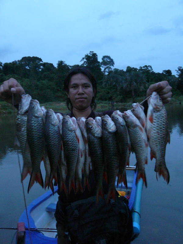 ลากันด้วยภาพนี้ครับ...ขอบคุณน้าๆที่