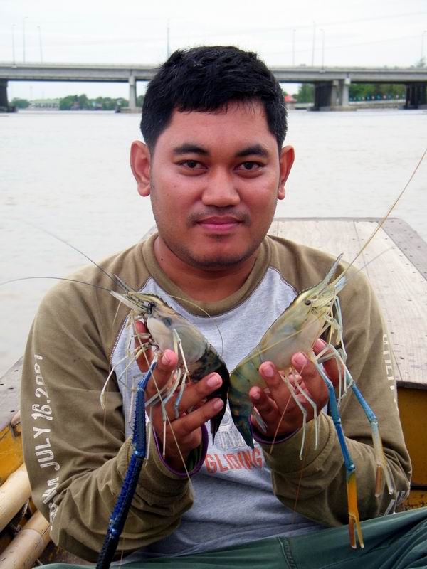 ไต๋บอกว่าวันนี้เราได้กุ้งกันเกือบ