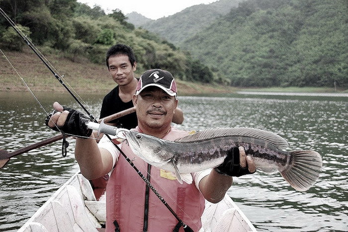 ต้องลงเยอะ ๆรูปพี่ช้างเพื่อตอกย้ำผู้การเสือ :laughing: :laughing: :laughing: