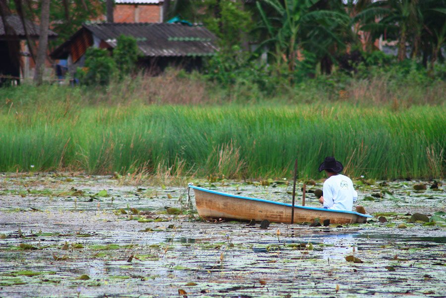 ไปเหอะ น้องอาร์ท....พายเรือให้แสบหัวไหล่เปล่า ๆ....บ่อแรกมันส์กว่าน๊อ
 :grin: :grin: