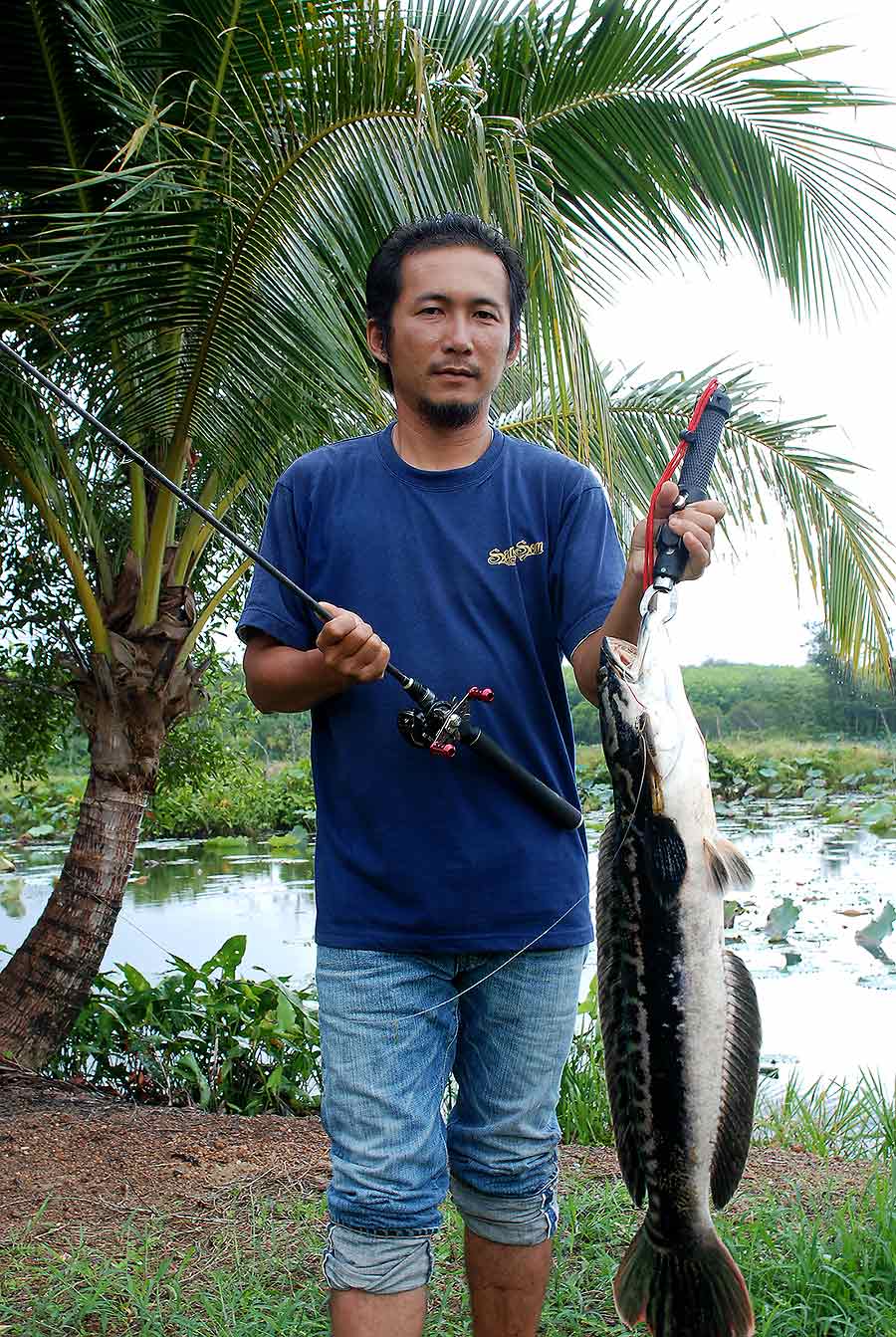 ส่วนโปรหนู นะคลองนา ของเราขอเท่บ้า
