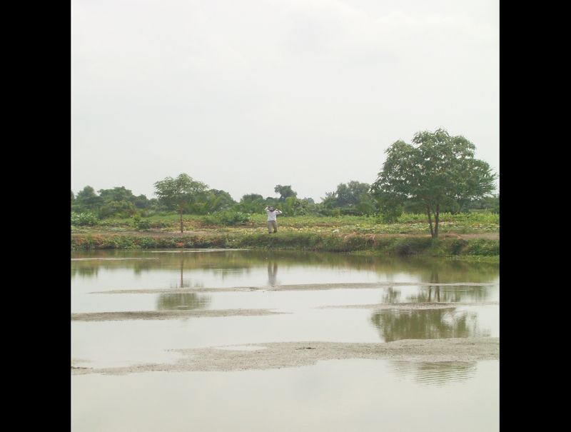 มองไปที่น้านุเอาส่งสาย วัดอีกคนและ