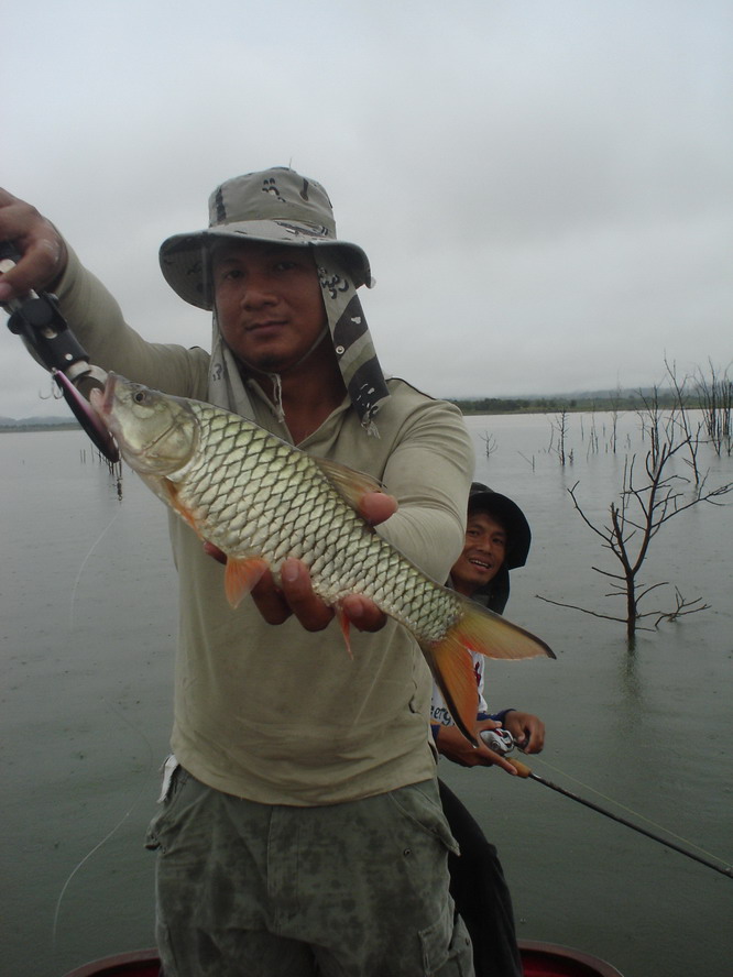 เปิดมาหน้าสี่ ปลาขึ้นพอดีเลยครับ เอ้ามาๆ ถ่ายภาพสักหน่อยสิ   :cheer: