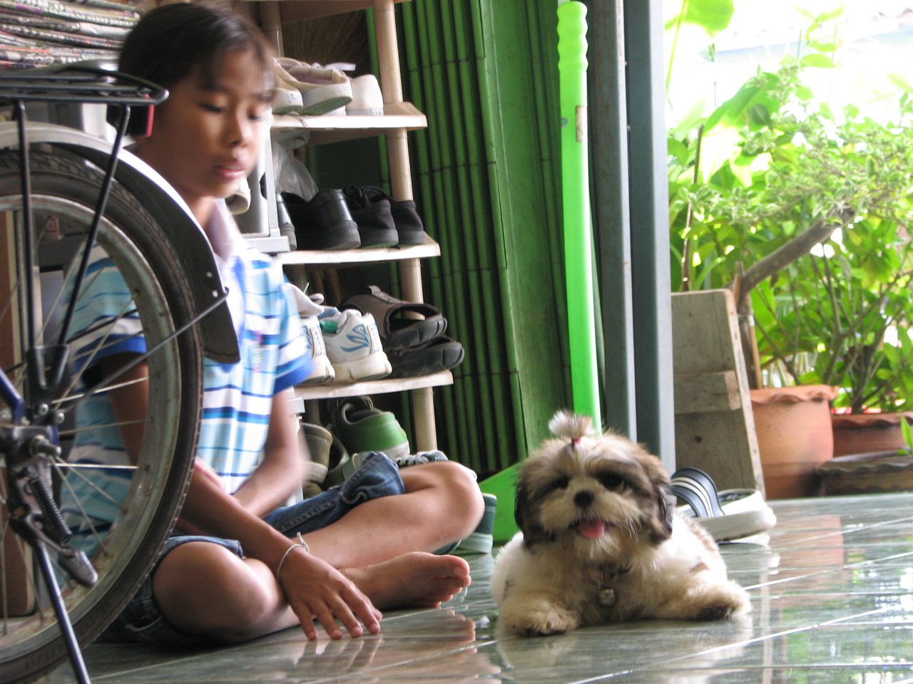 น้องเฟรซ  กับ  ซูโม่ครับ




 :smile: :smile: :smile: :smile: :smile: