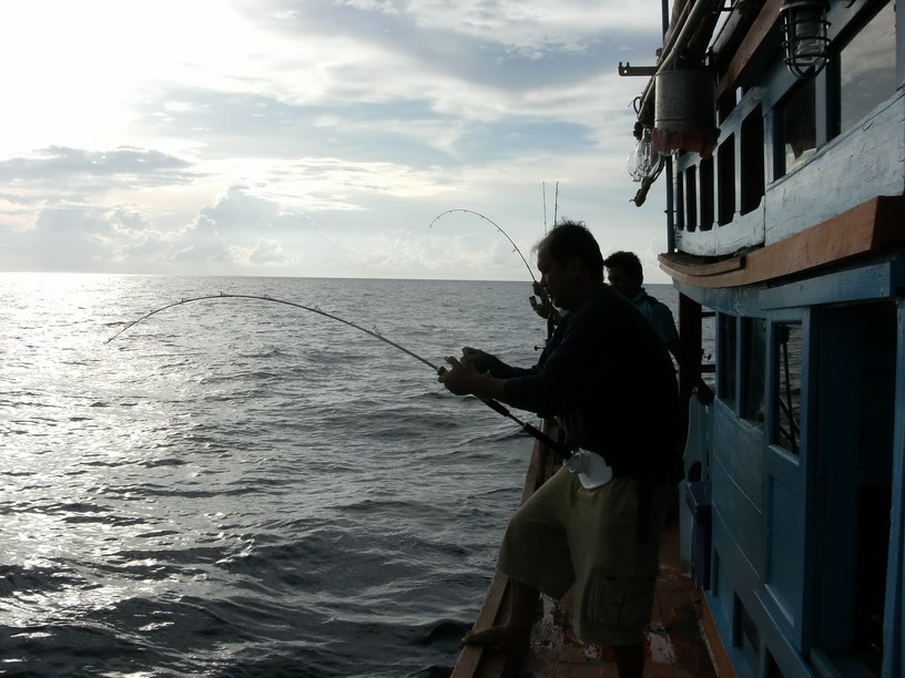 ระหว่างที่ผมกับพี่มาดอัดปลาอยู่  โกฮ้วงปล่อยเหยื่อลงไปใหม่ตรงกลางเรือ  ก็โดนอีกเหมือนกัน
กินพร้อมกั