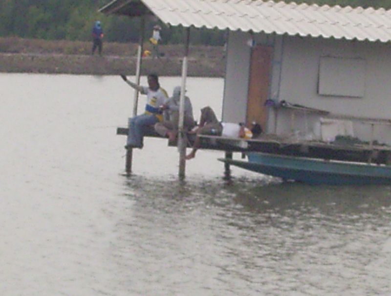 เดินผ่านอีตาเม่นทีไรหมั่นใส้ทุกที