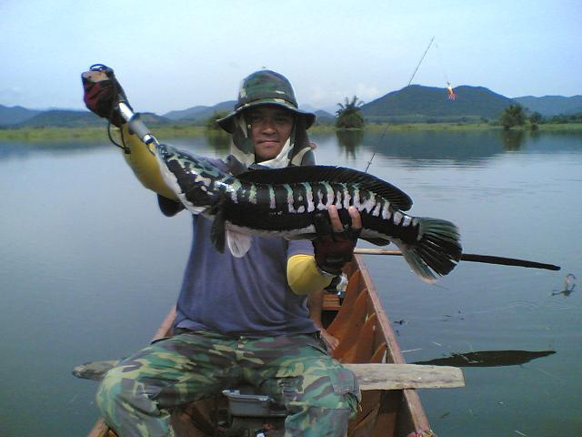 อวดอีกหน่อยครับ :grin:

-------------------------------------------------------------------

 [q