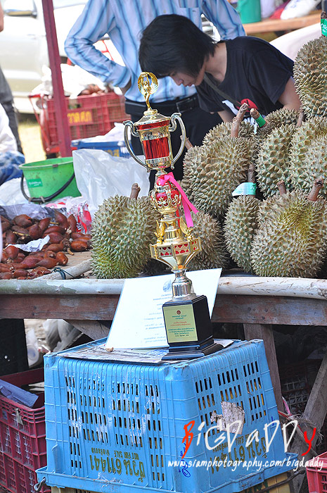 ร้านนี้ได้แชมป์ประกวดทุเรียน เมื่อปีที่แล้วครับ เอาถ้วยมาตั้งแบบนี้

คนแกะทุเรียน นี่แกะกันไม่หยุด