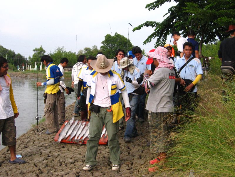 ช่วงนี้เป็นช่วงที่ ชุลมุน ที่สุดครับ ไหนจะ ร่ำลา กัน ไหนจะหาปลาของตัวเอง ไหนจะแบ่งปลากันครับ

[b]เ