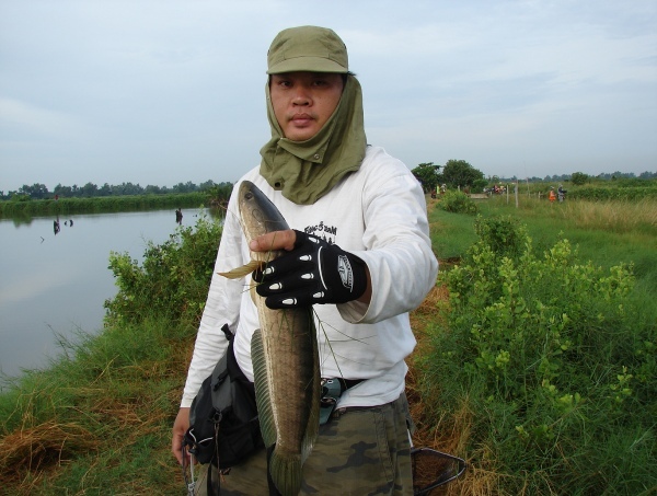 น้า ป๊อบ  FISHING5  โดนอีกแล้วครับ   :cheer: