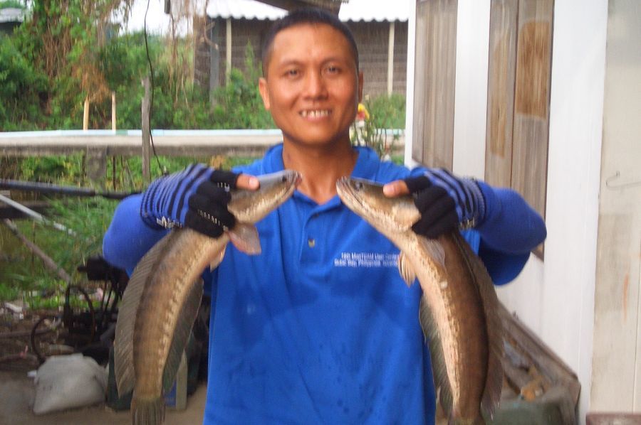 ขออนุญาตลากันด้วยภาพนี้นะครับ เอากลับมาแปรสภาพสองหน่วย  ราตรีสวัสดิ์ครับทุกท่าน ขอบคุณที่เข้ามาชมนะค