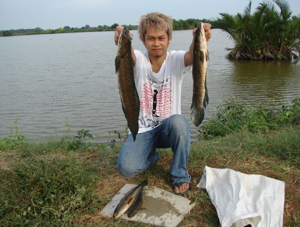 ขอบคุณครับ  ตัวเล็ก   :love: :love: :love: