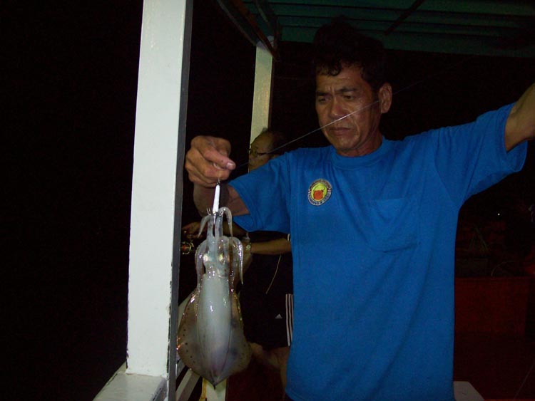 พี่พิสประเดิมหมึกหอมตัวแรกครับ  :grin:

หวัดดีครับน้าsvfishing   :grin: