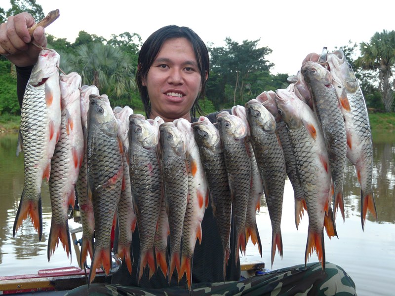 เมือสั่นเลยครับถ่ายรูปนี้  :laughing: :laughing: :laughing: