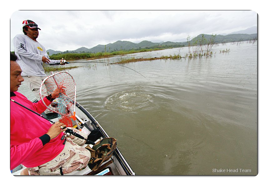                                                                       จิบตัวแรกของ..........โปรหมึกอ