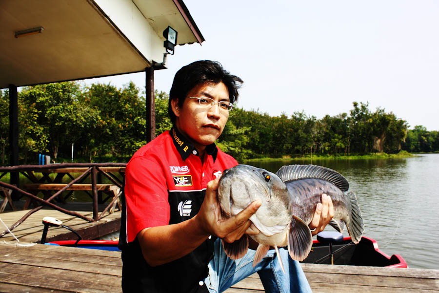 มาแล้วๆๆ :grin: