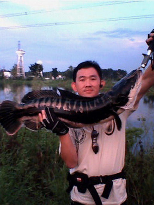 น้าดำราล่า  จ้องจะถ่ายอะไรใน คห. 159(รู้น๊า) 