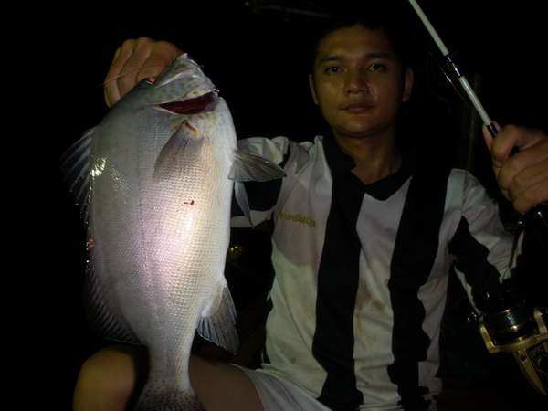 สร้อย..นกเขา แต่ไม่ขันนะ