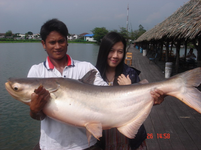 ดีครับ  น้าหนี่งบ้านดอน   น้าb bangbon  น้าไกรวิชญ์อาร์ม  น้องมิงค์  
 [q]เร็วๆคงได้ไปตกด้วยกันอ่าค